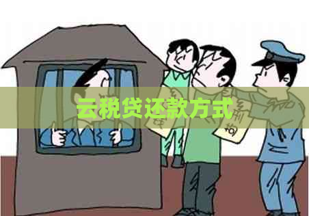 云税贷还款方式