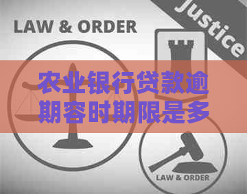 农业银行贷款逾期容时期限是多久