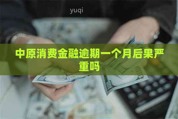 中原消费金融逾期一个月后果严重吗