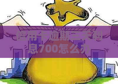 信用卡逾期三天利息700怎么办
