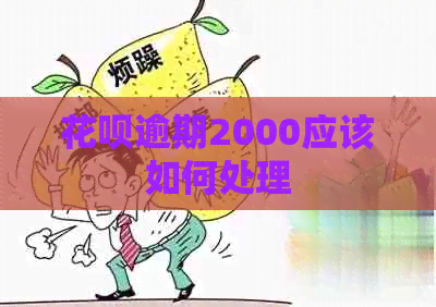 白条逾期2000应该如何处理