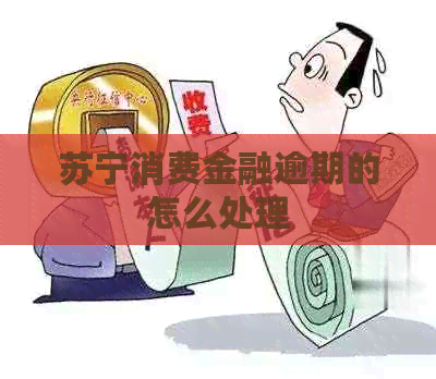 苏宁消费金融逾期的怎么处理