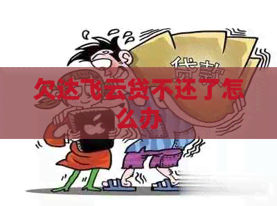 欠达飞云贷不还了怎么办