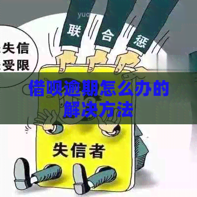 信用卡逾期怎么办的解决方法