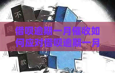 信用卡逾期一月如何应对信用卡逾期一月