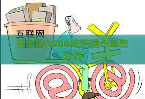 召集令3000元逾期一年怎么办