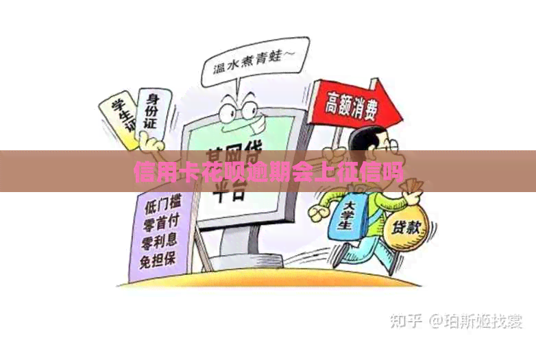 信用卡白条逾期会上吗