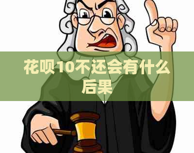 白条10不还会有什么后果
