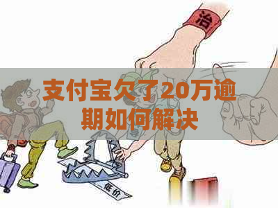 信用卡欠了20万逾期如何解决