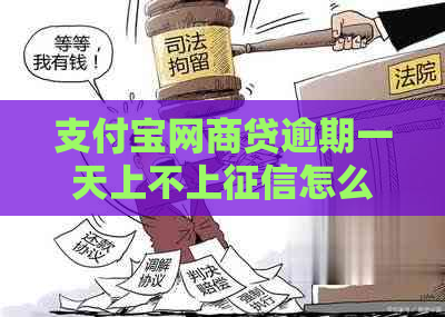 信用卡白条贷逾期一天上不上怎么办