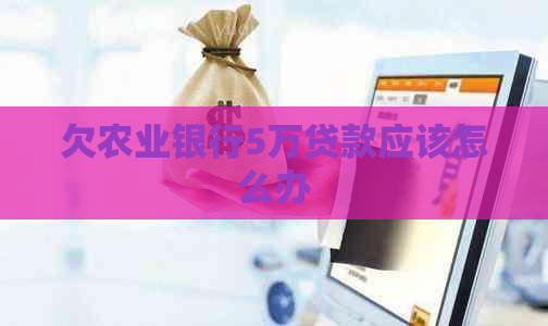 欠农业银行5万贷款应该怎么办