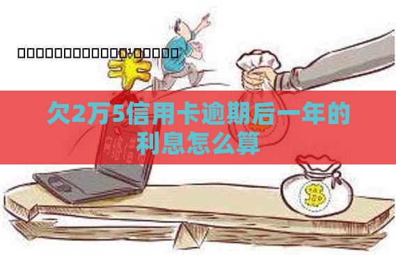 欠2万5信用卡逾期后一年的利息怎么算