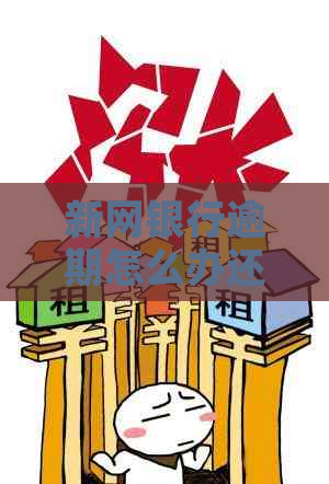 新网银行逾期怎么办还款流程是什么