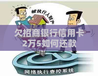 欠招商银行信用卡2万5如何还款