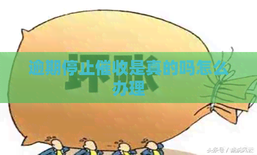 逾期停止是真的吗怎么办理