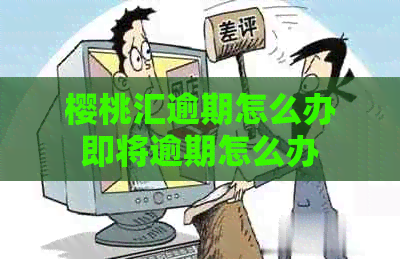 樱桃汇逾期怎么办即将逾期怎么办
