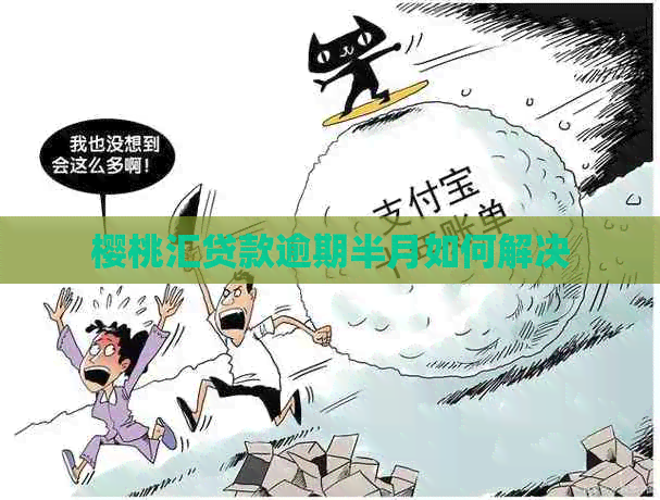 樱桃汇贷款逾期半月如何解决