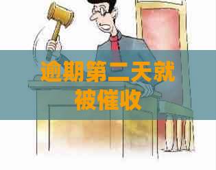 逾期第二天就被
