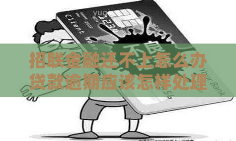 招联金融还不上怎么办贷款逾期应该怎样处理