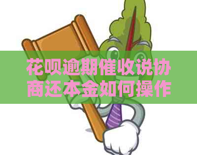 白条逾期说协商还本金如何操作