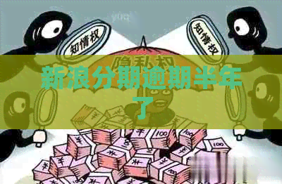 新浪分期逾期半年了