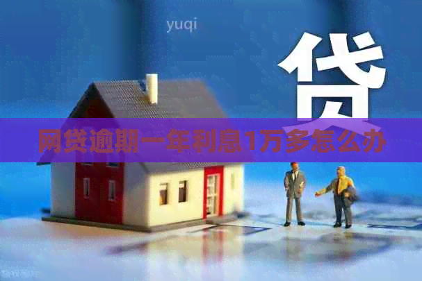 网贷逾期一年利息1万多怎么办