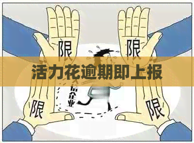 活力花逾期即上报