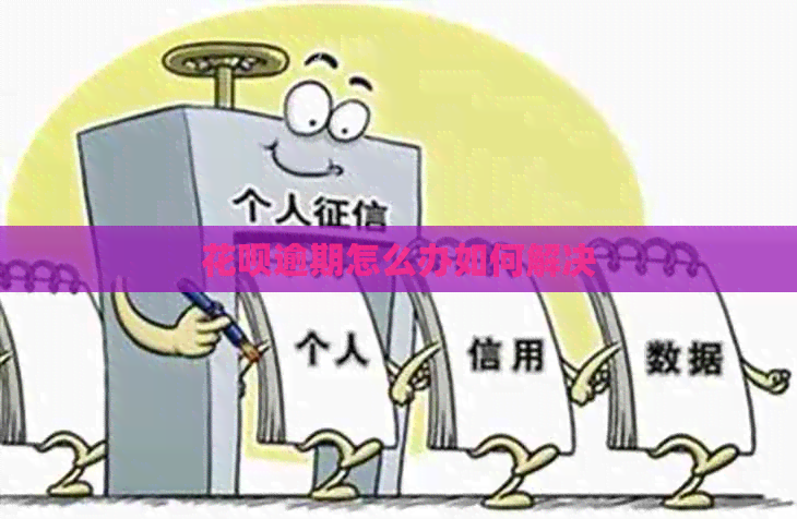 白条逾期怎么办如何解决
