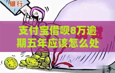 信用卡信用卡8万逾期五年应该怎么处理