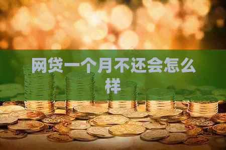 网贷一个月不还会怎么样