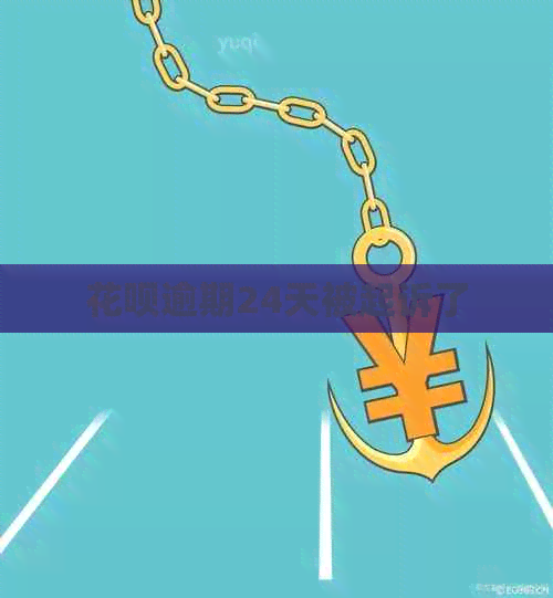 白条逾期24天被起诉了