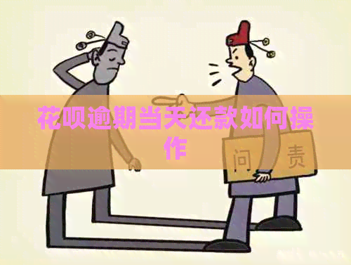 白条逾期当天还款如何操作
