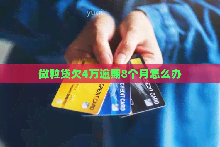 微粒贷欠4万逾期8个月怎么办