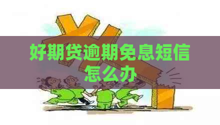 好期贷逾期免息短信怎么办