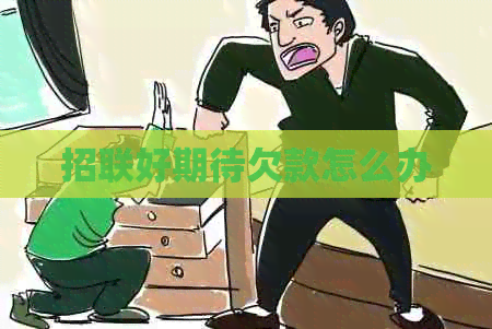 招联好期待欠款怎么办