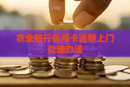 农业银行信用卡逾期上门处理办法