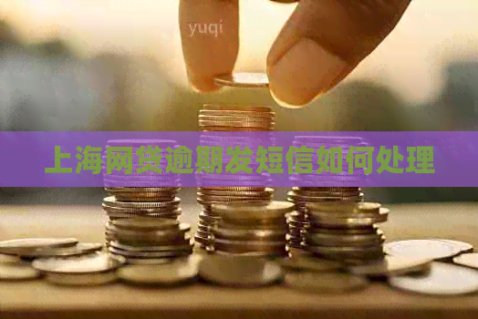 上海网贷逾期发短信如何处理