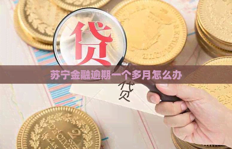 苏宁金融逾期一个多月怎么办