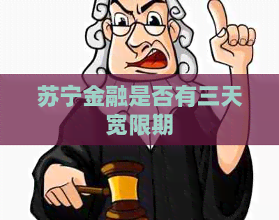 苏宁金融是否有三天宽限期