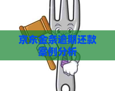 京东金条逾期还款案例分析