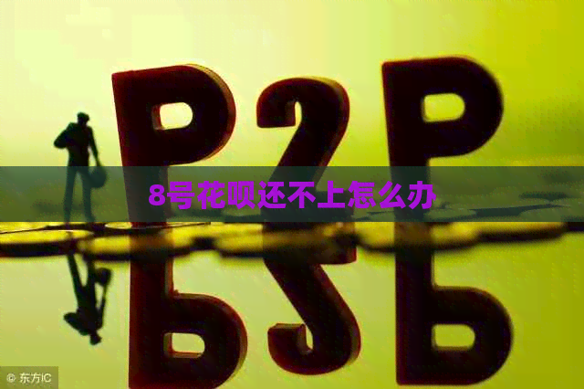 8号白条还不上怎么办