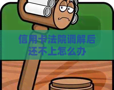 信用卡法院调解后还不上怎么办