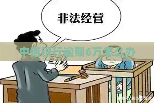 中信银行逾期6万怎么办