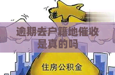 逾期去户籍地是真的吗