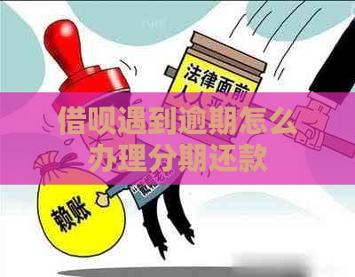信用卡遇到逾期怎么办理分期还款