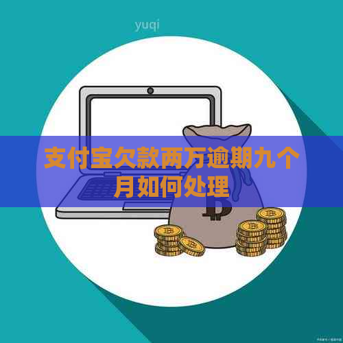 信用卡欠款两万逾期九个月如何处理