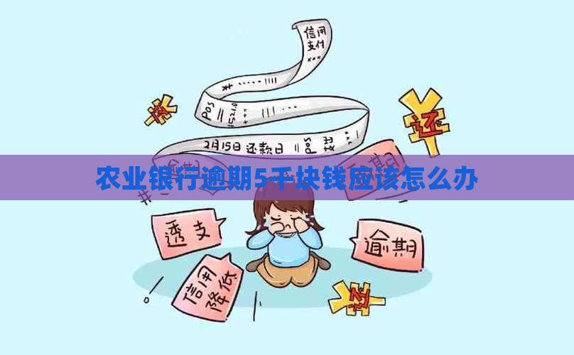 农业银行逾期5千块钱应该怎么办