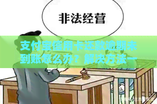 支付宝信用卡还款逾期未到账怎么办？解决方法一网打尽！