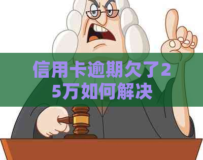 信用卡逾期欠了25万如何解决