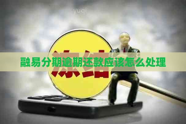 融易分期逾期还款应该怎么处理